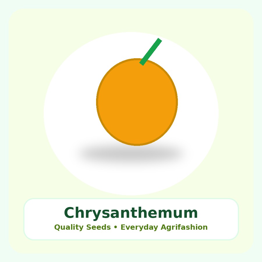 Chrysanthemum Seeds 250 Seeds