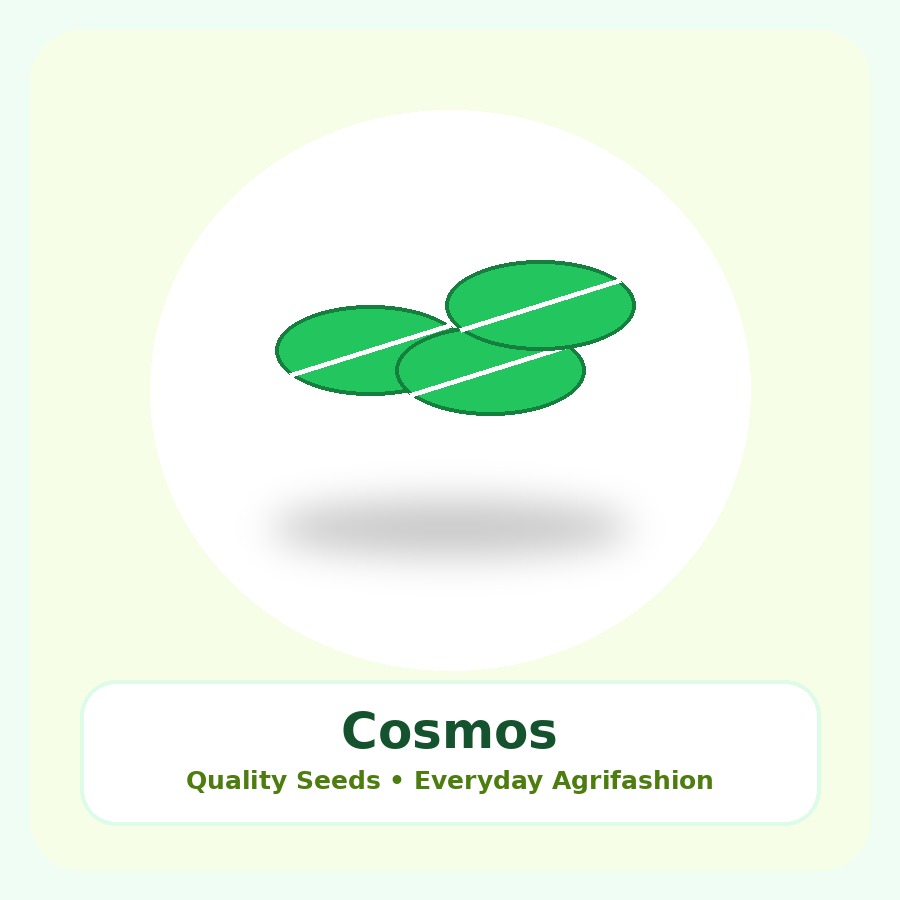 Cosmos Seeds 25 Seeds
