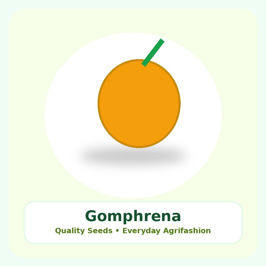 Gomphrena Seeds 250 Seeds