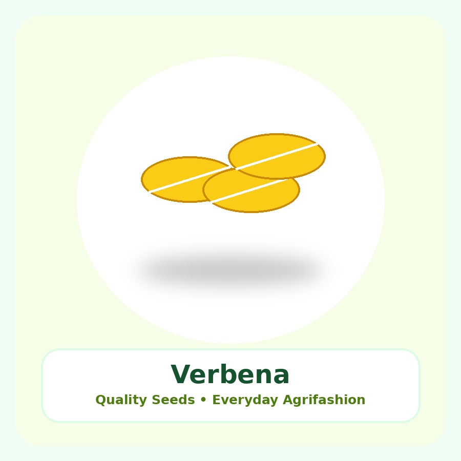 Verbena Seeds 25 Seeds