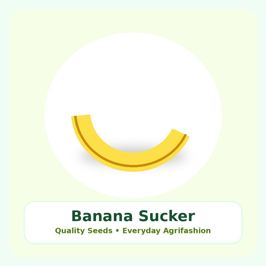 Banana Sucker Seeds 10 Seeds
