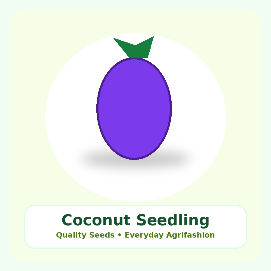 Coconut Seedling Seeds 50 Seeds