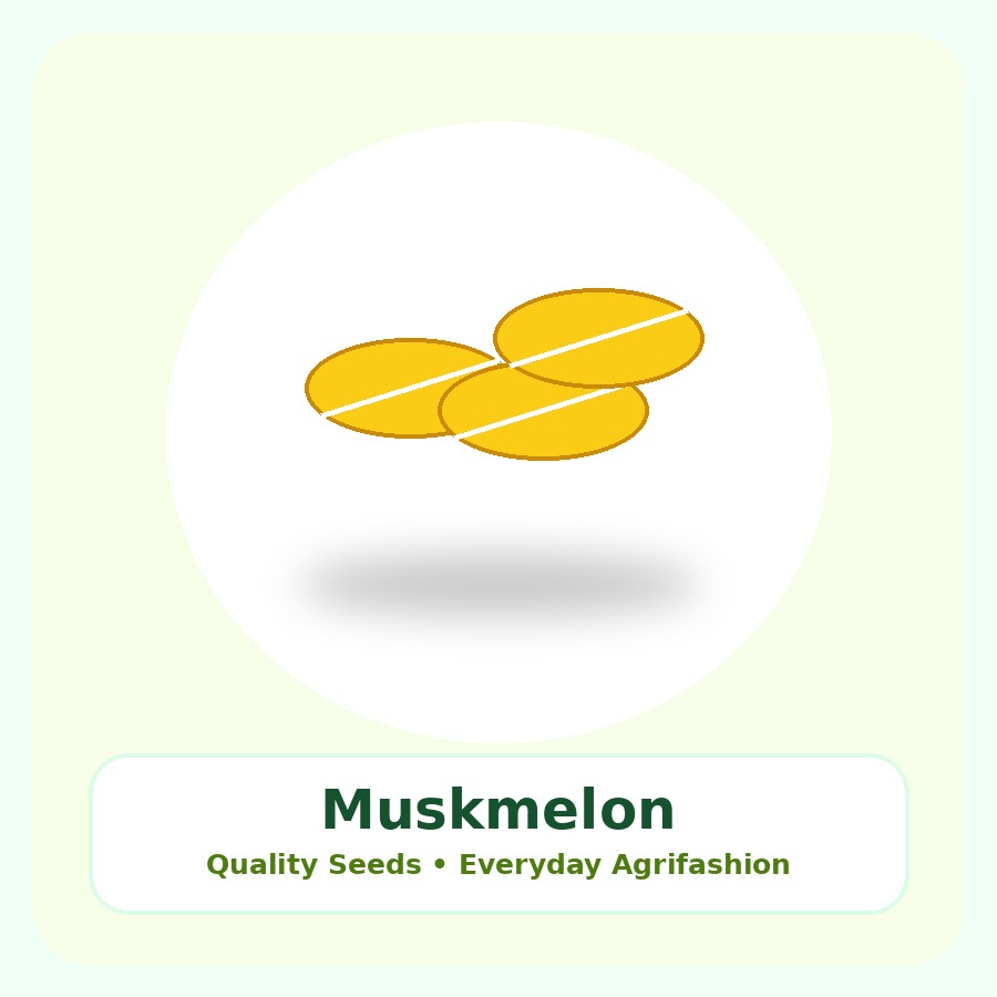Muskmelon Seeds 10 Seeds