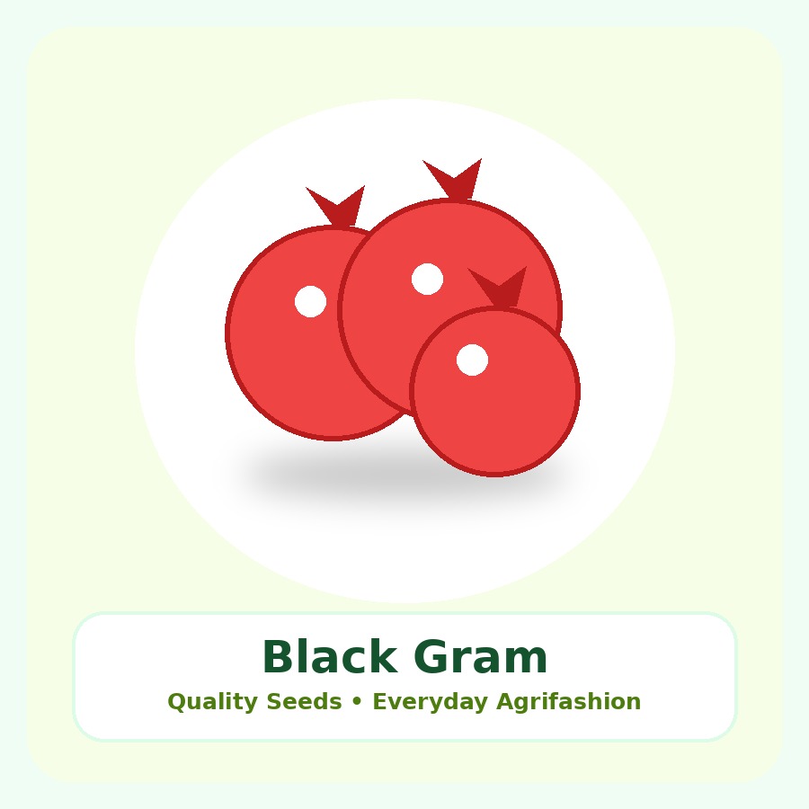 Black Gram Seeds 25kg