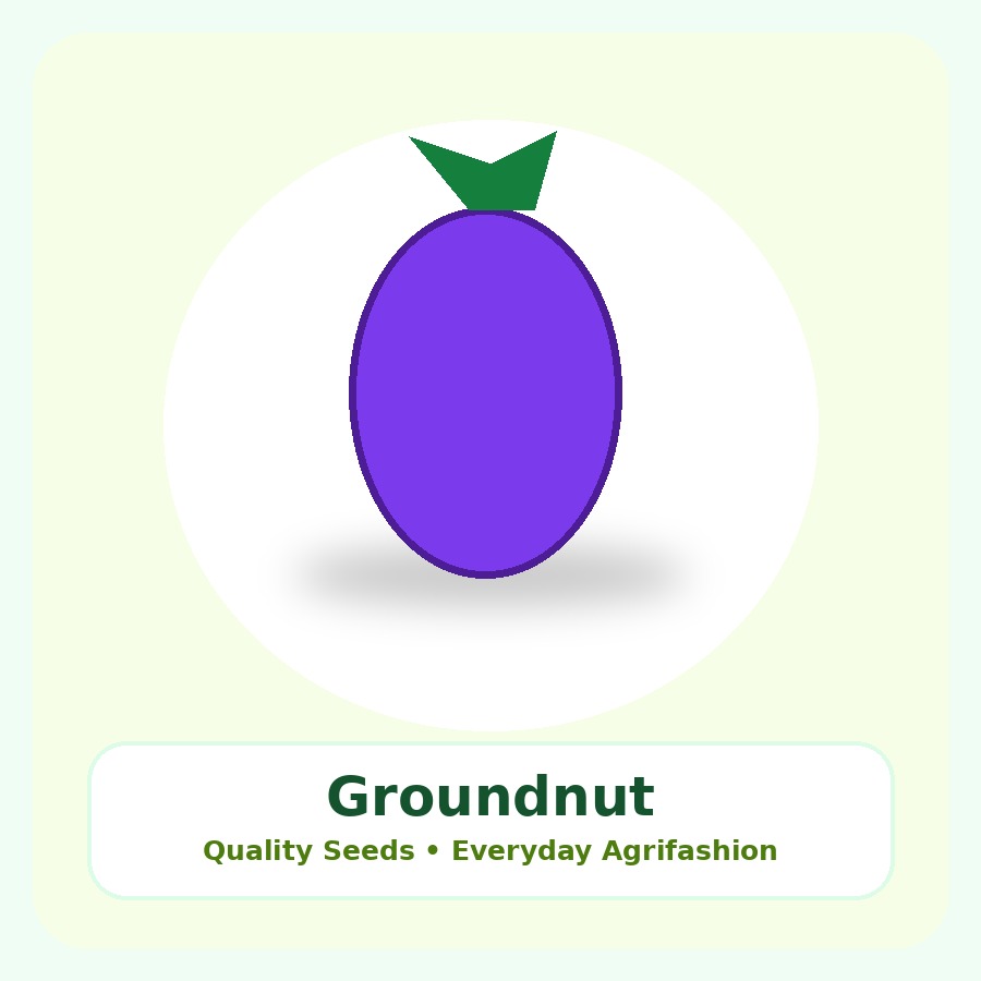 Groundnut Seeds 5kg