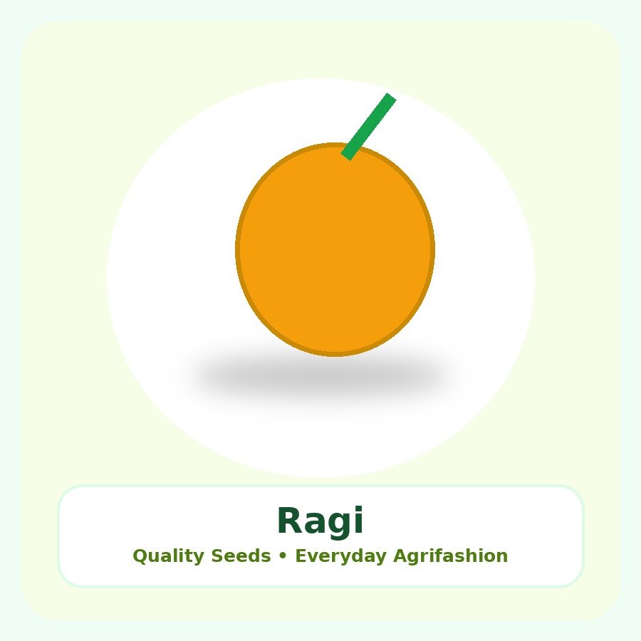 Ragi Seeds 10kg