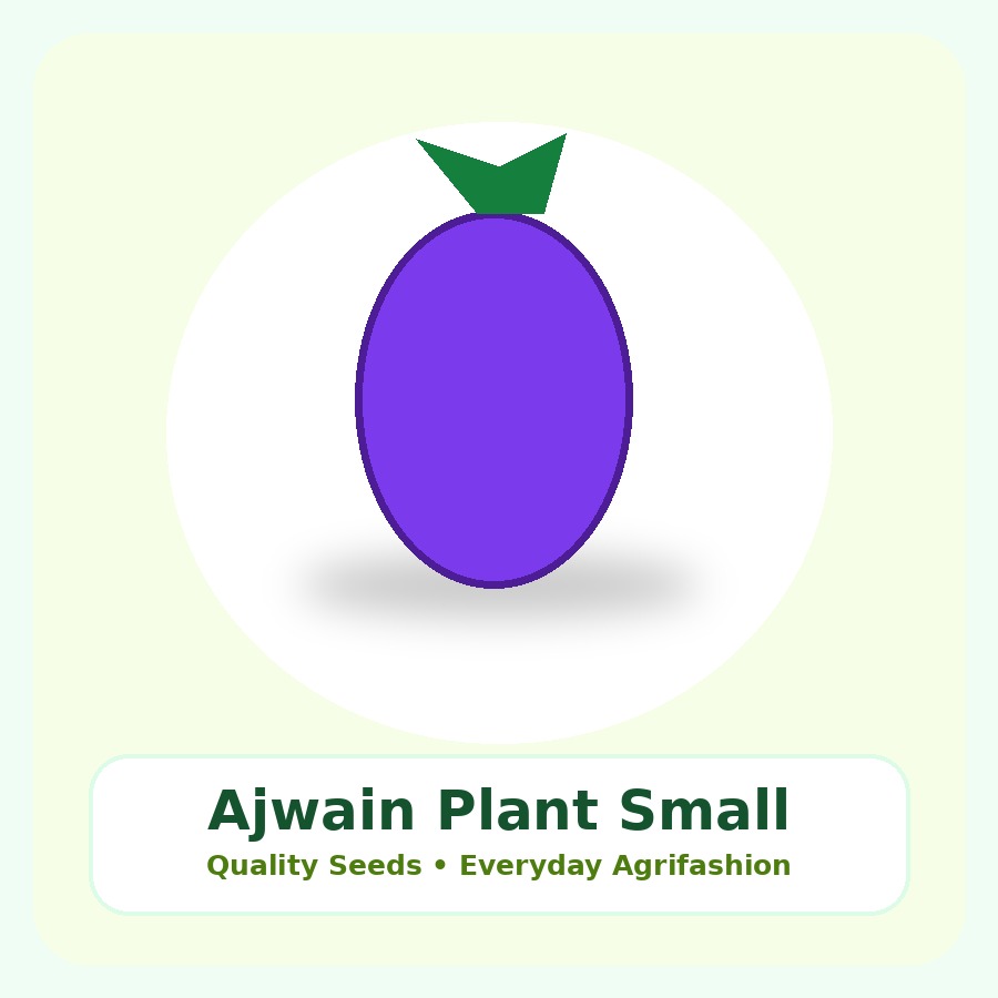 Ajwain Plant Small Nursery Bag