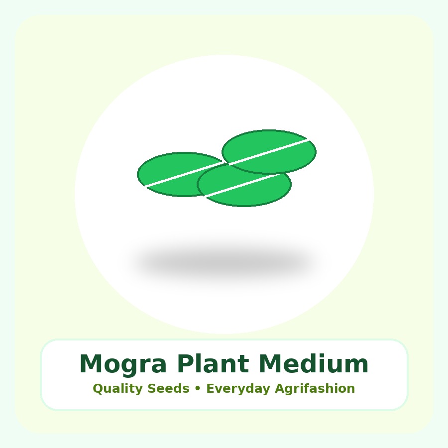 Mogra Plant Medium Plant