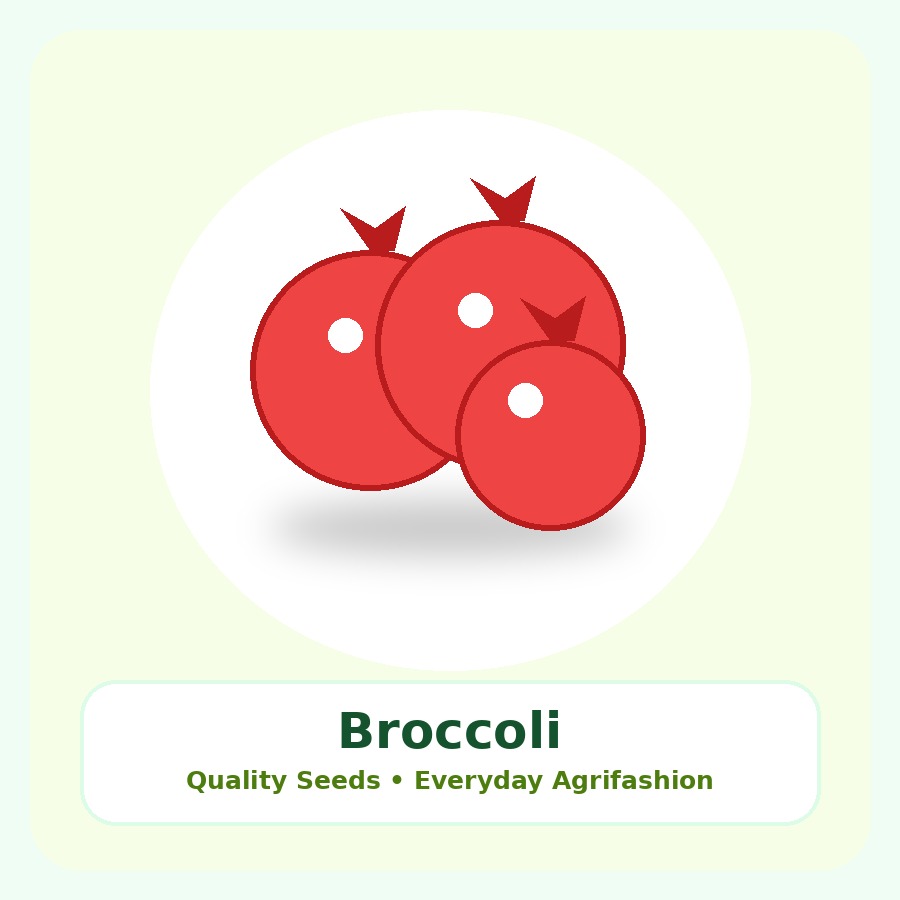 Broccoli Seeds 500g