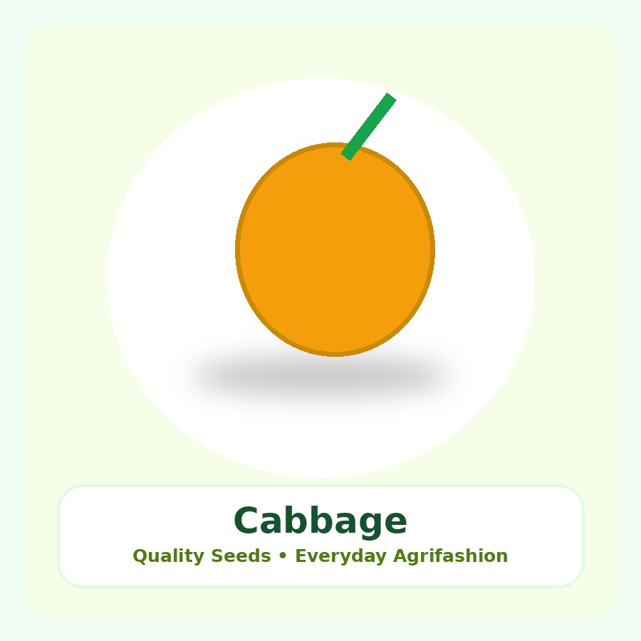 Cabbage Seeds 25g
