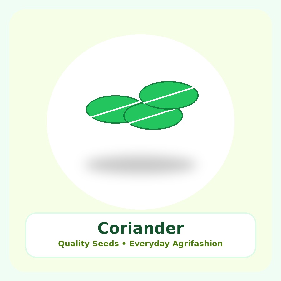 Coriander Seeds 1kg