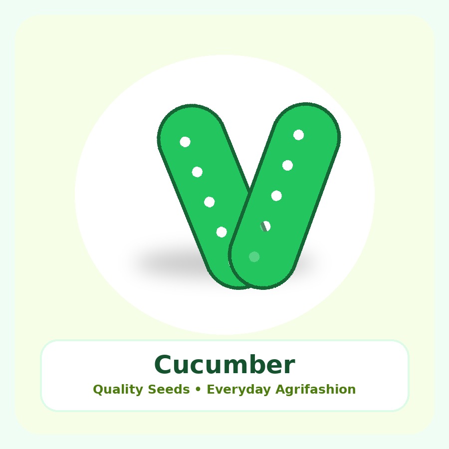 Cucumber Seeds 250g