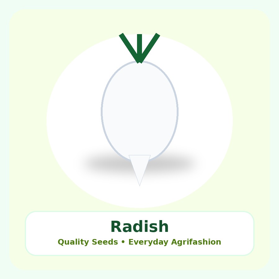 Radish Seeds 250g